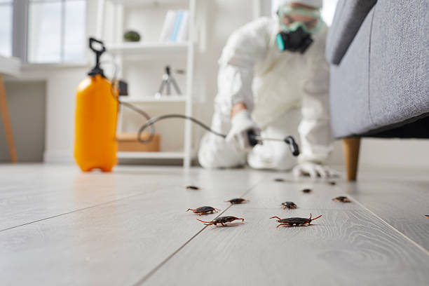 Commercial Kitchen Cockroach Control in Houserville